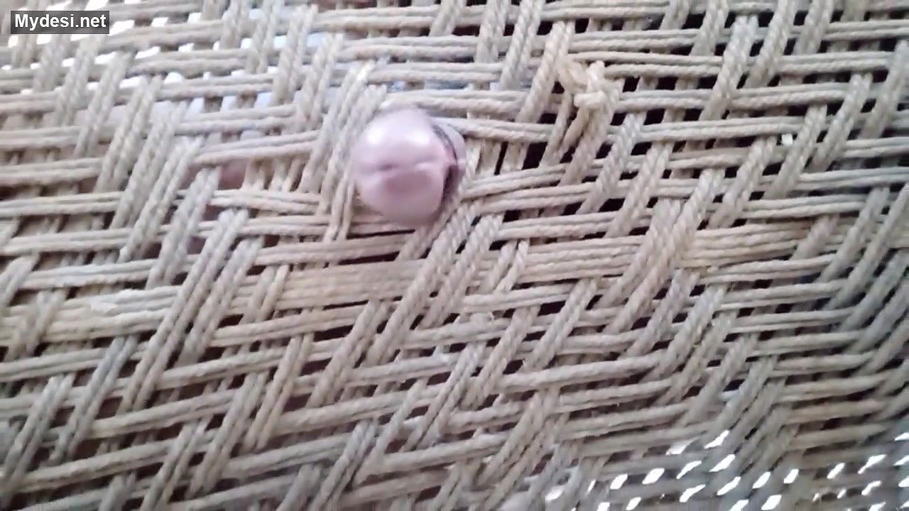 Desi village boy funny video