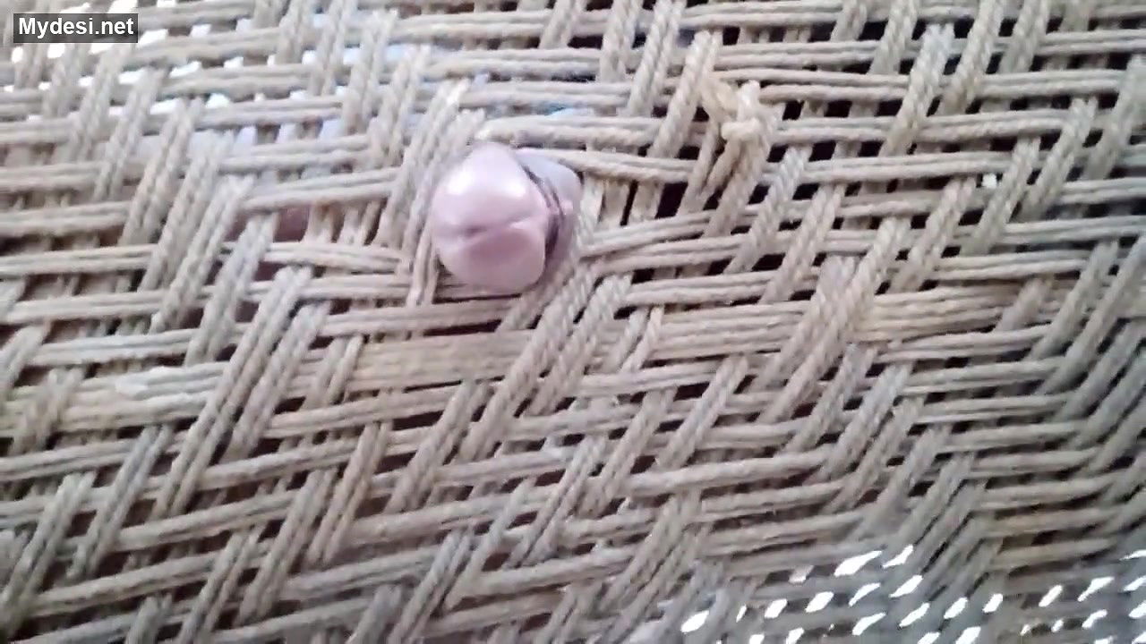 Desi village boy funny video