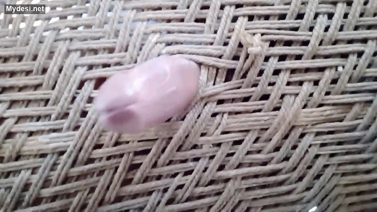 Desi village boy funny video