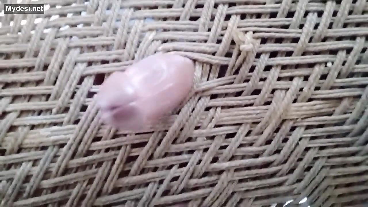 Desi village boy funny video