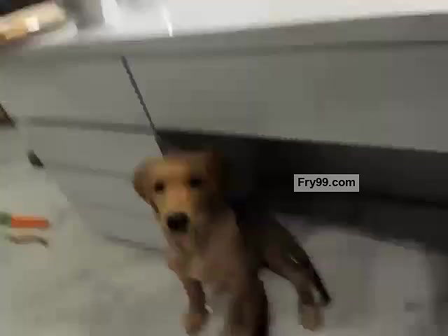 anna cam video collection