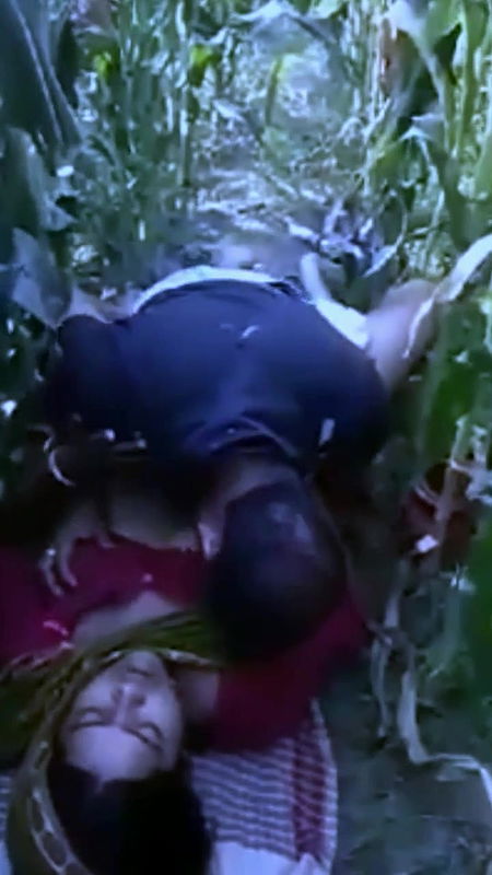 Desi village bhabi fucking with old father in lw in field