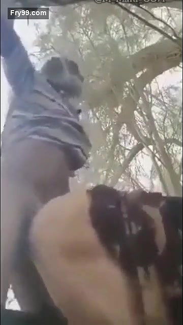 Desi village bhabi fucking outdoor with old father in lw