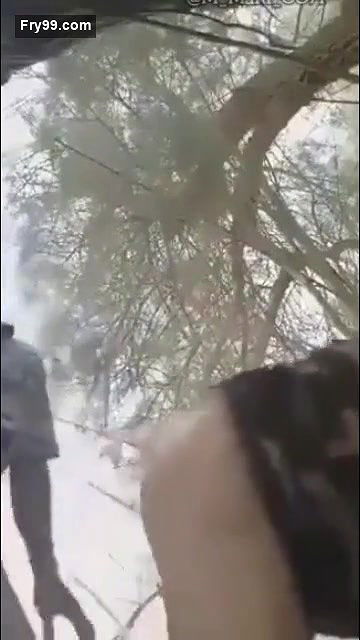 Desi village bhabi fucking outdoor with old father in lw