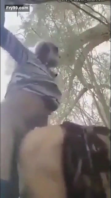 Desi village bhabi fucking outdoor with old father in lw