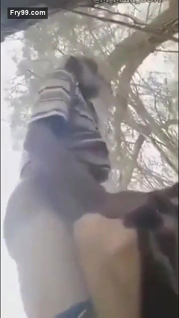 Desi village bhabi fucking outdoor with old father in lw