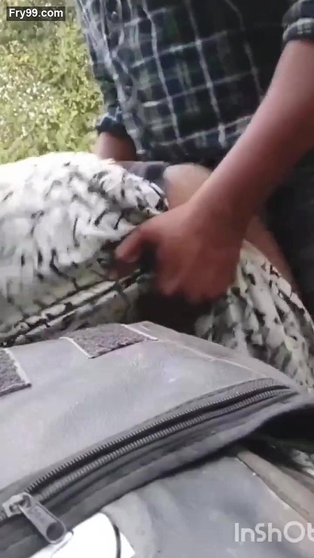 Desi village couple fucking outdoor