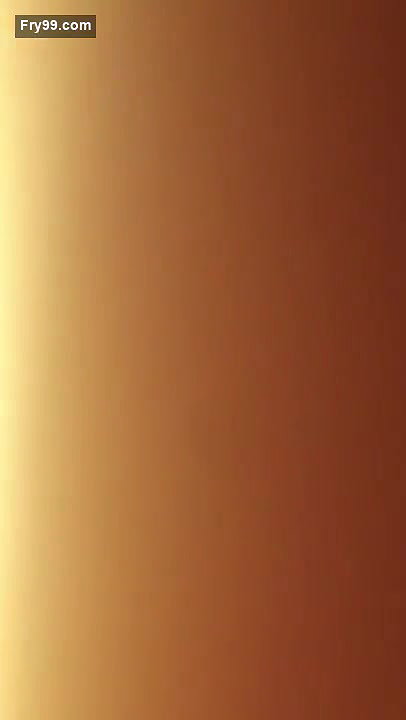 Desi bhabhi Blowjob