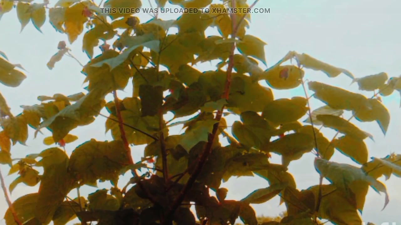 Bengalis sexy history Desi videos