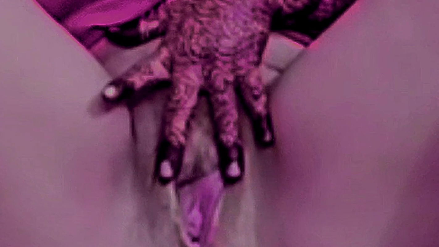 Bhabhi ke gand Mein Pehla