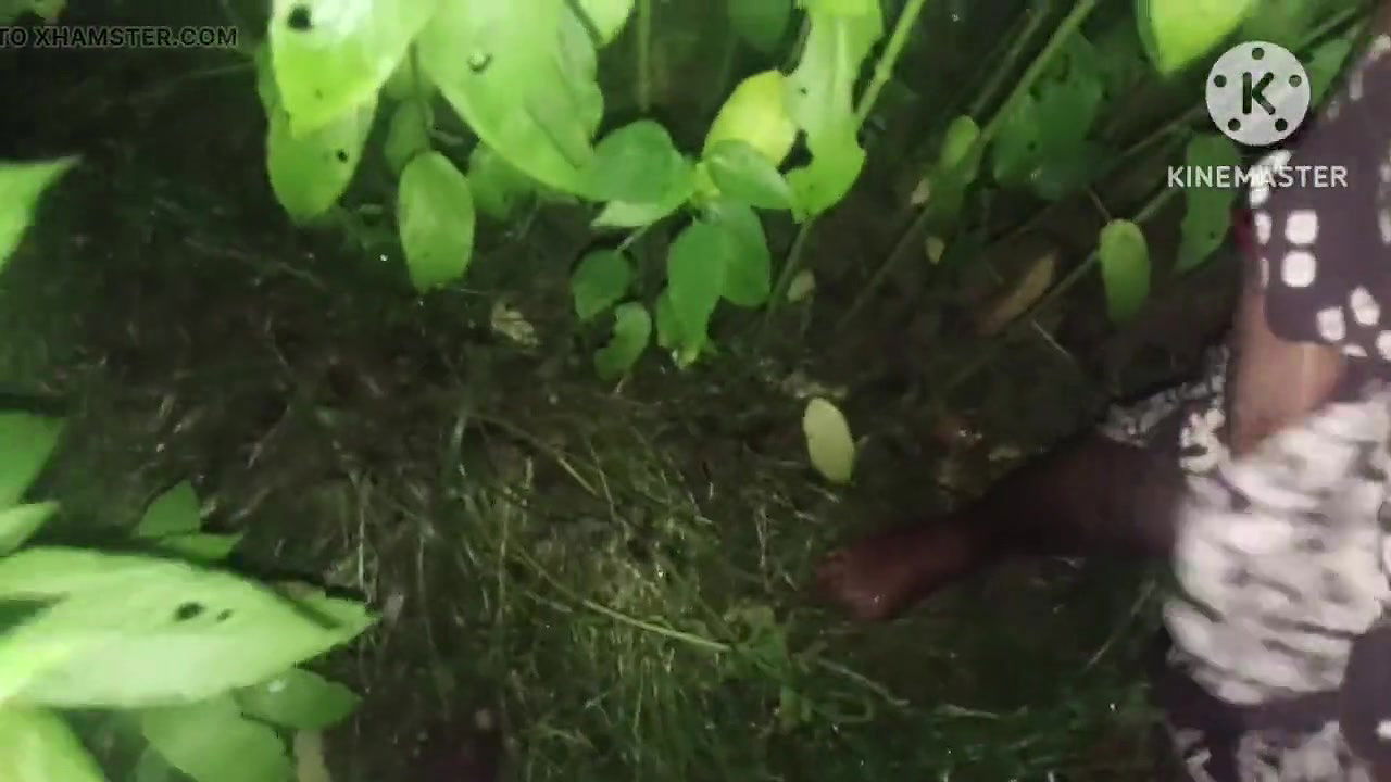 Bhabhi ko jungle mein le jakar chudai ki