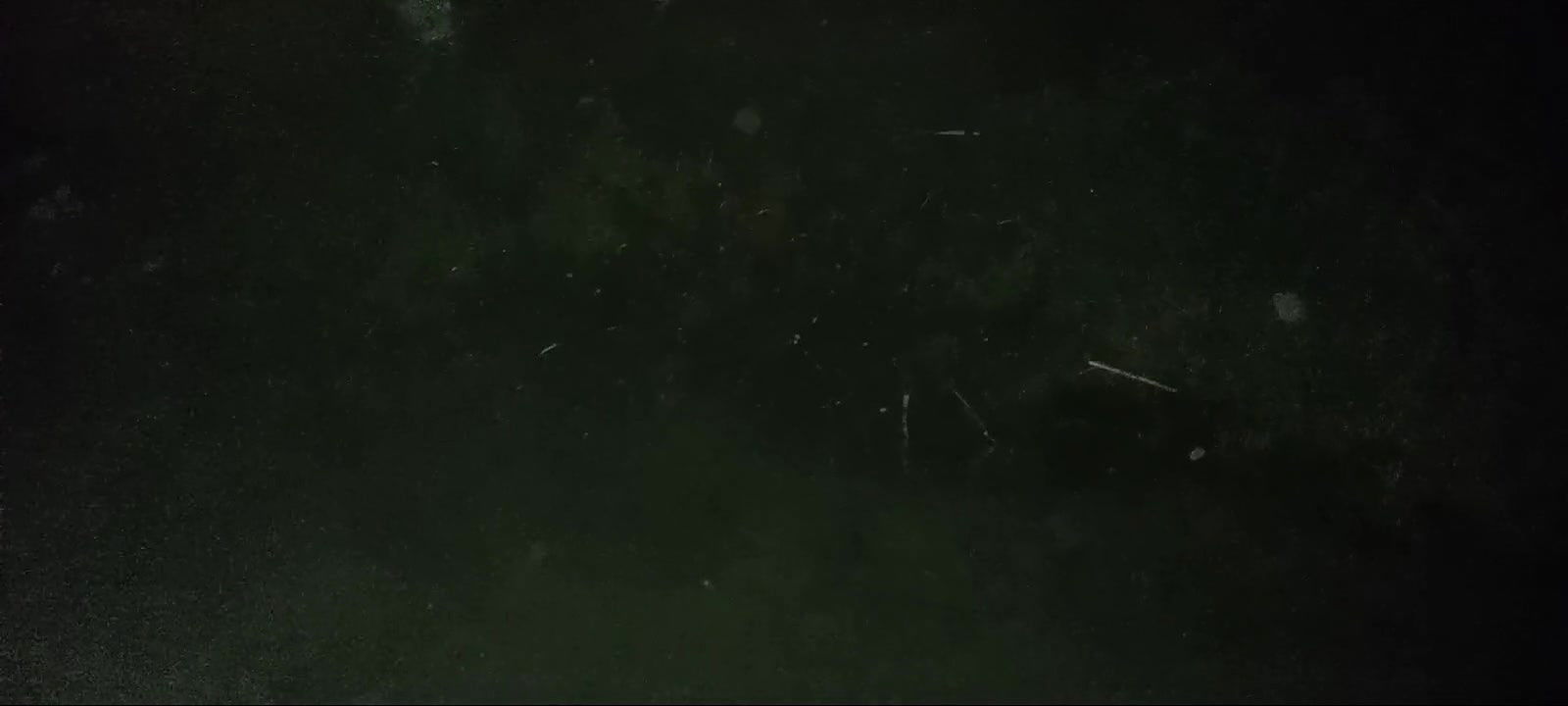 Indian Wife Beautiful Indian Boy Big Cock Blowjob Indian Porn Videos