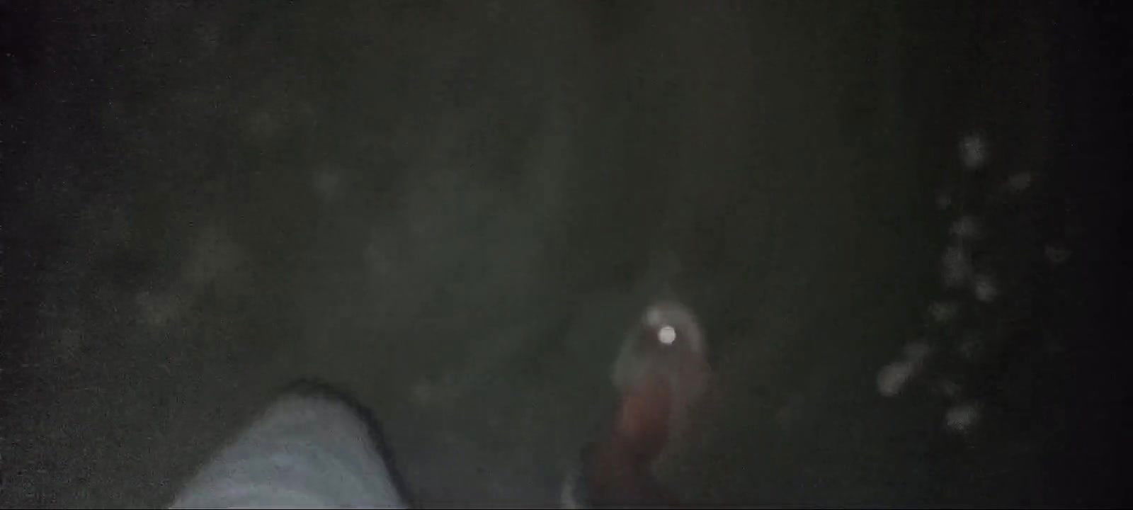 Indian Wife Beautiful Indian Boy Big Cock Blowjob Indian Porn Videos