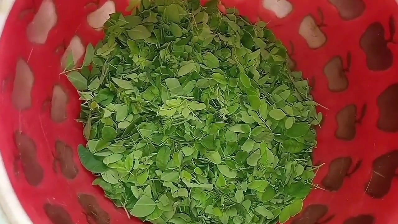 Single sister-in-law has sex with delivery boy because her husband is out of India