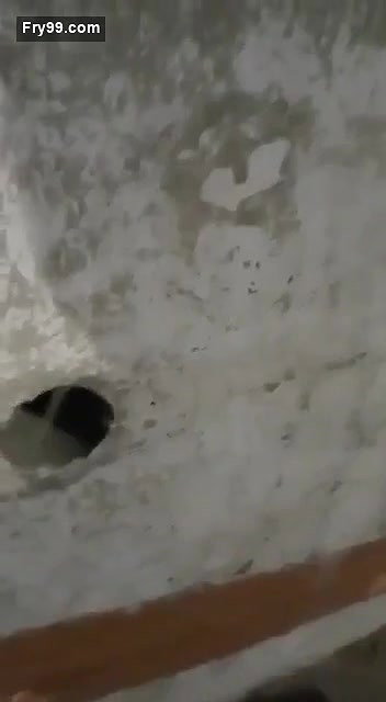 Shamale Caught Fucking With Customer