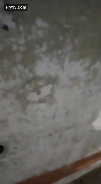 Shamale Caught Fucking With Customer