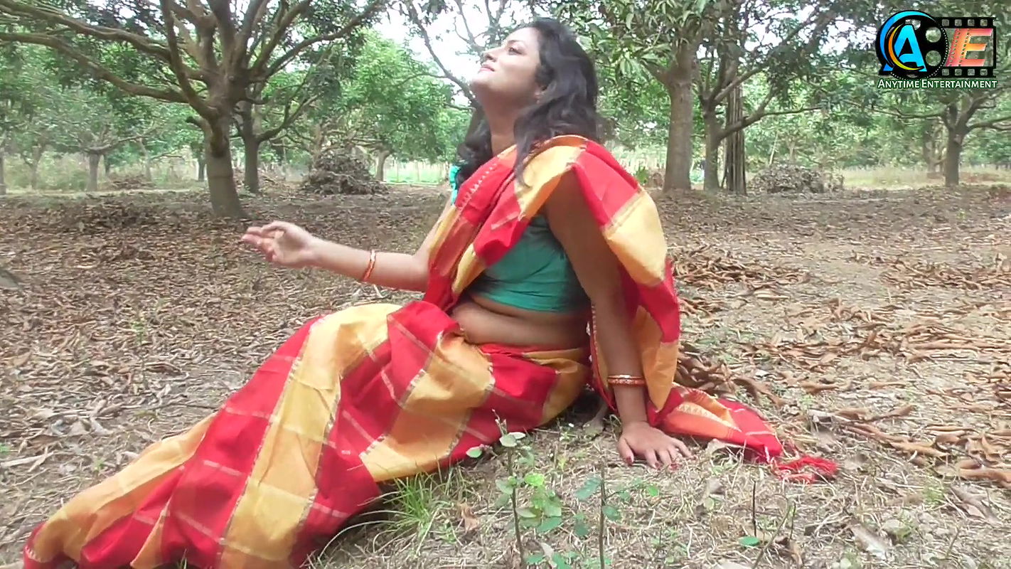 Saree Lovers  Saree Shoot  Saree Sundari  Saree Fashion  High Fashion Saree Video Shoot 2023