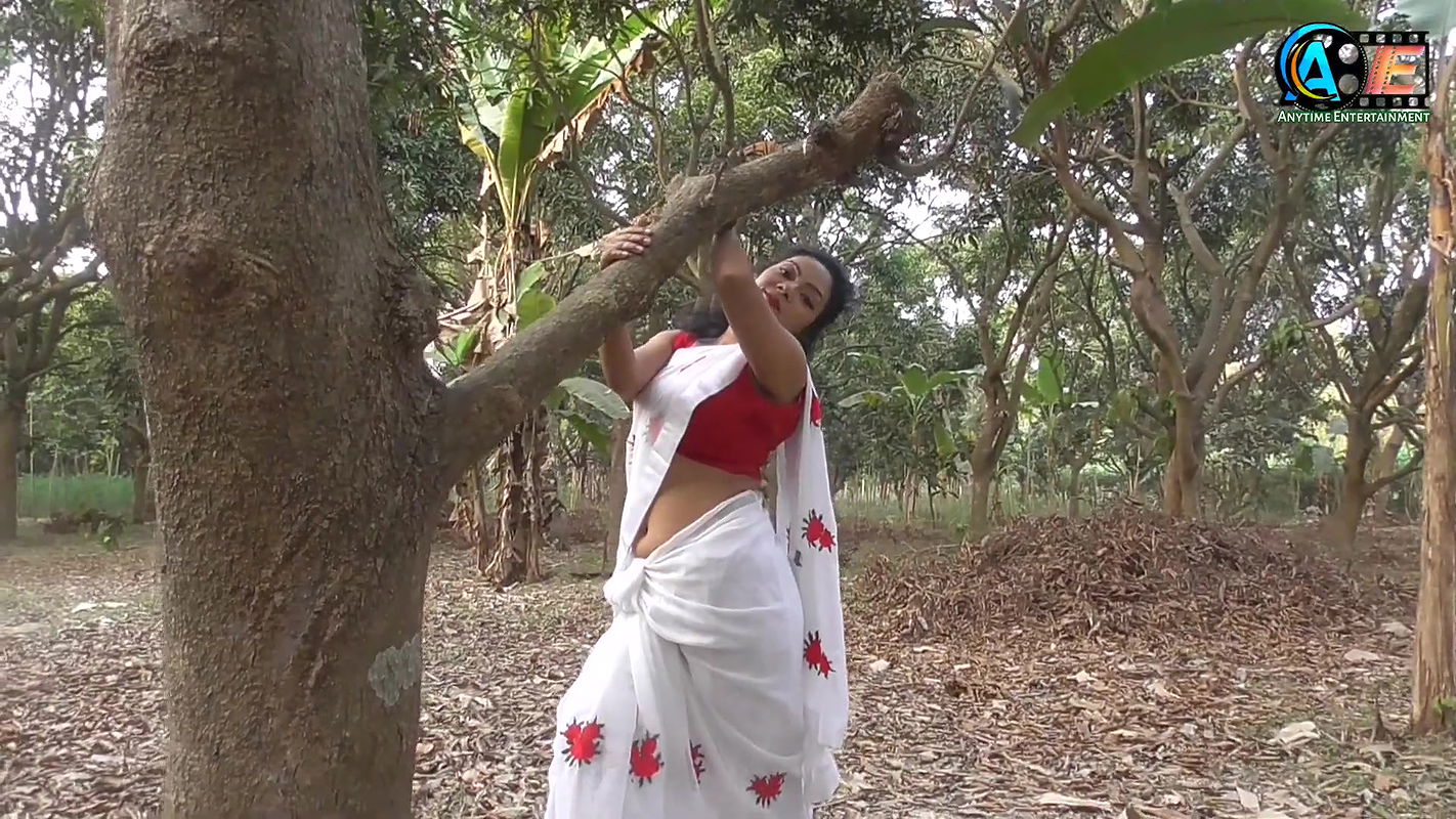 Saree Sundari  Saree Lovers  Saree Photoshoot  Saree Lovers GARGI  Indian Beauty Model 2023