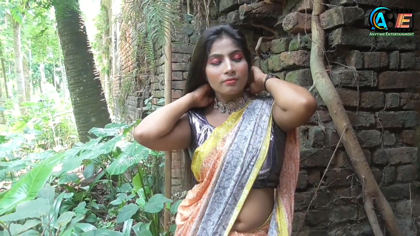 Saree Fashion Blog  Anytime Entertainment