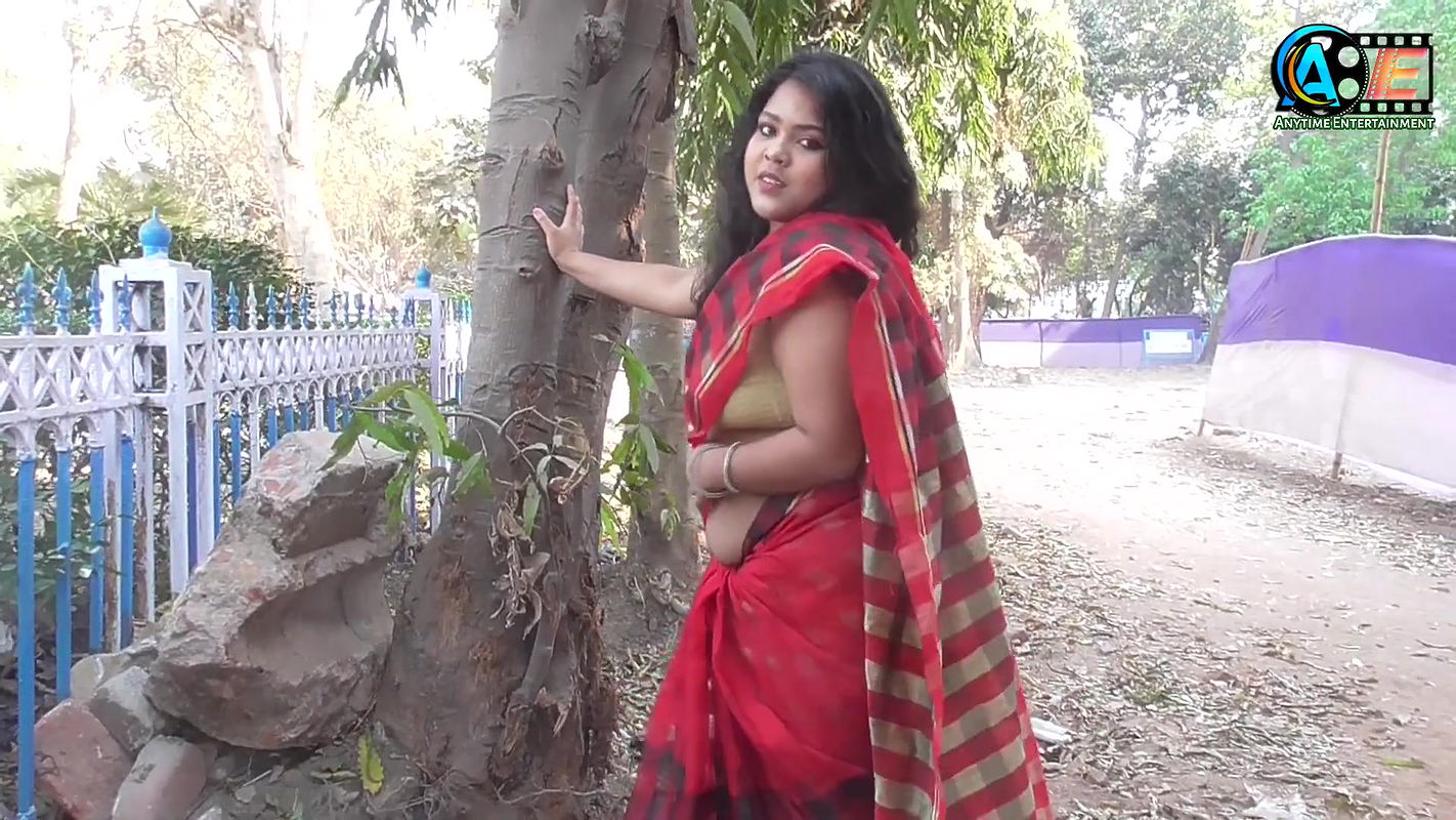 saree lover  saree photoshoot  saree fashion  indian beauty  BRISTI  high fashion saree shoot