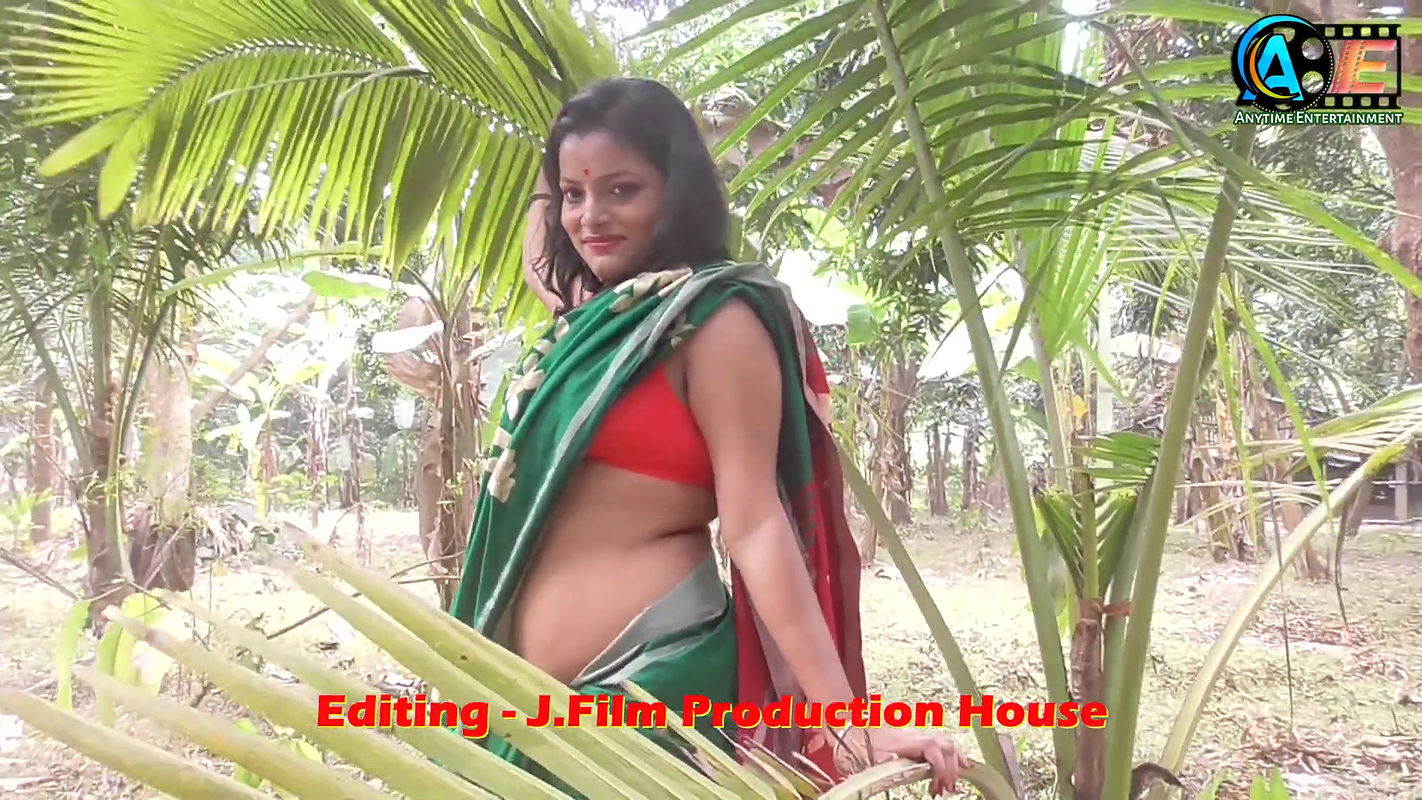 Saree Sundori  Saree Lover  Saree Fashion  Saree Shoot  Indian Beauty RENU  Bold Saree Style