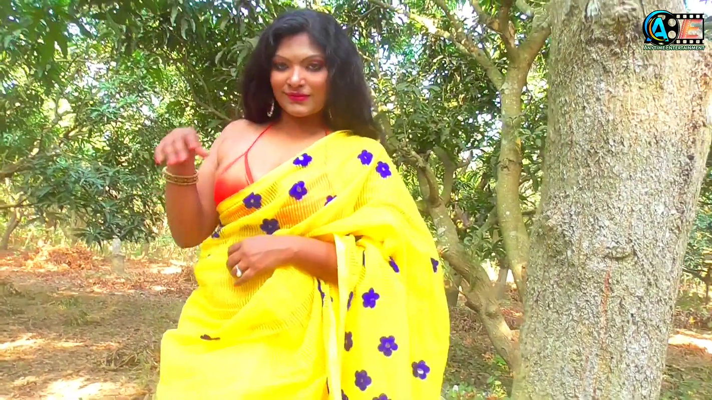 Saree Sundori  Saree Lover  Saree Fashion  Saree Shoot  Indian Beauty  RASHI  Bold Saree Style