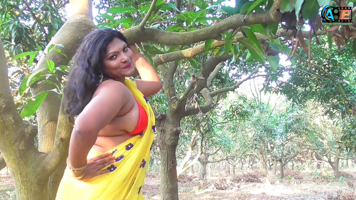 Saree Sundori  Saree Lover  Saree Fashion  Saree Shoot  Indian Beauty  RASHI  Bold Saree Style