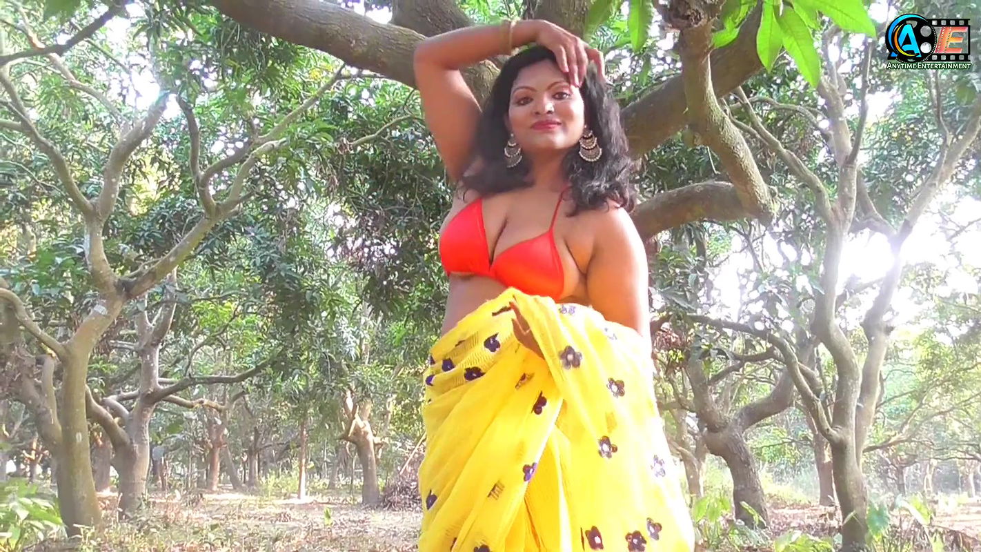 Saree Sundori  Saree Lover  Saree Fashion  Saree Shoot  Indian Beauty  RASHI  Bold Saree Style