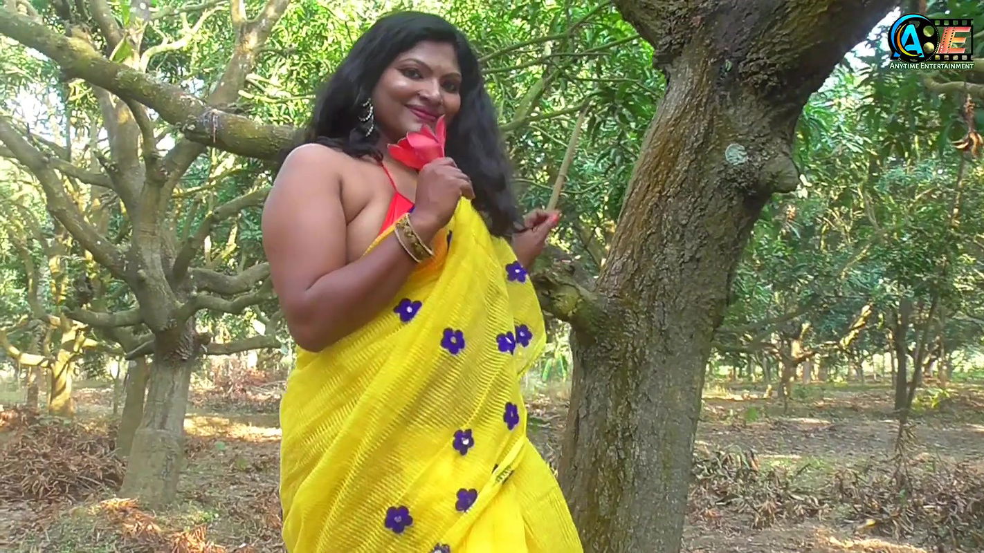 Saree Sundori  Saree Lover  Saree Fashion  Saree Shoot  Indian Beauty  RASHI  Bold Saree Style