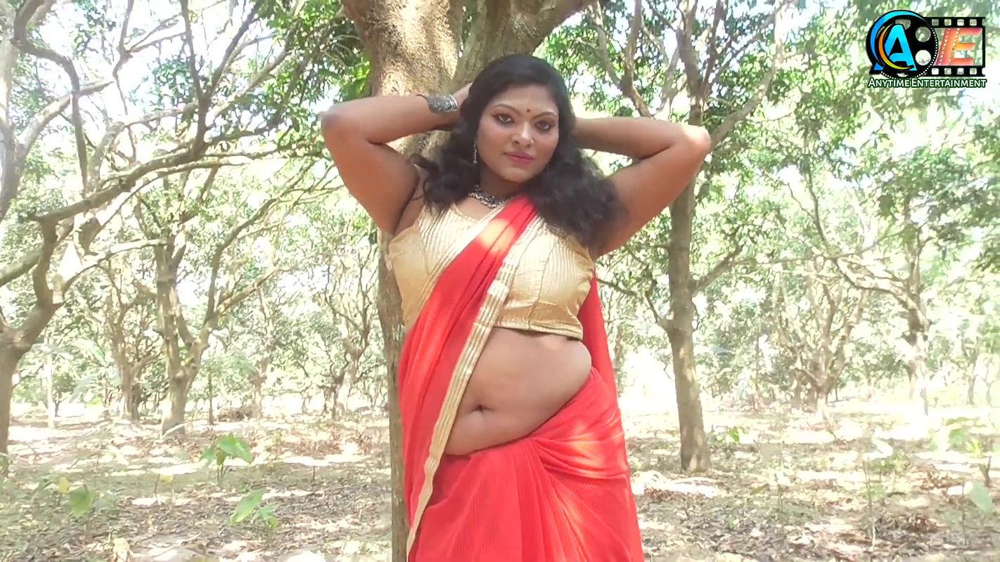 saree lover  saree photoshoot  saree fashion  saree sundori  indian beauty in saree  part – Il