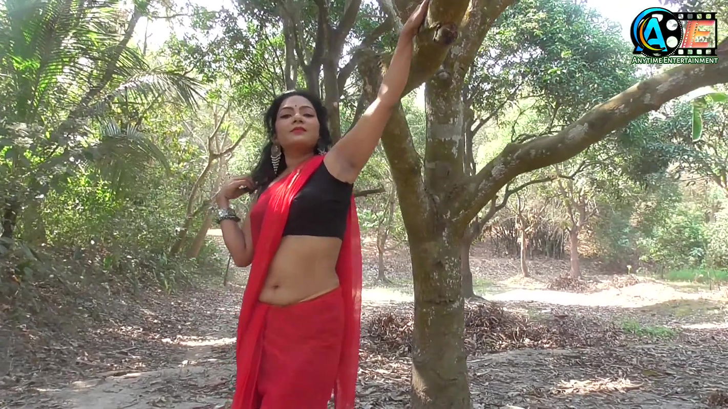 Saree Shoot  Photo-Shoot    saree fashion  women’s beauty in Saree  high fashion saree shoot