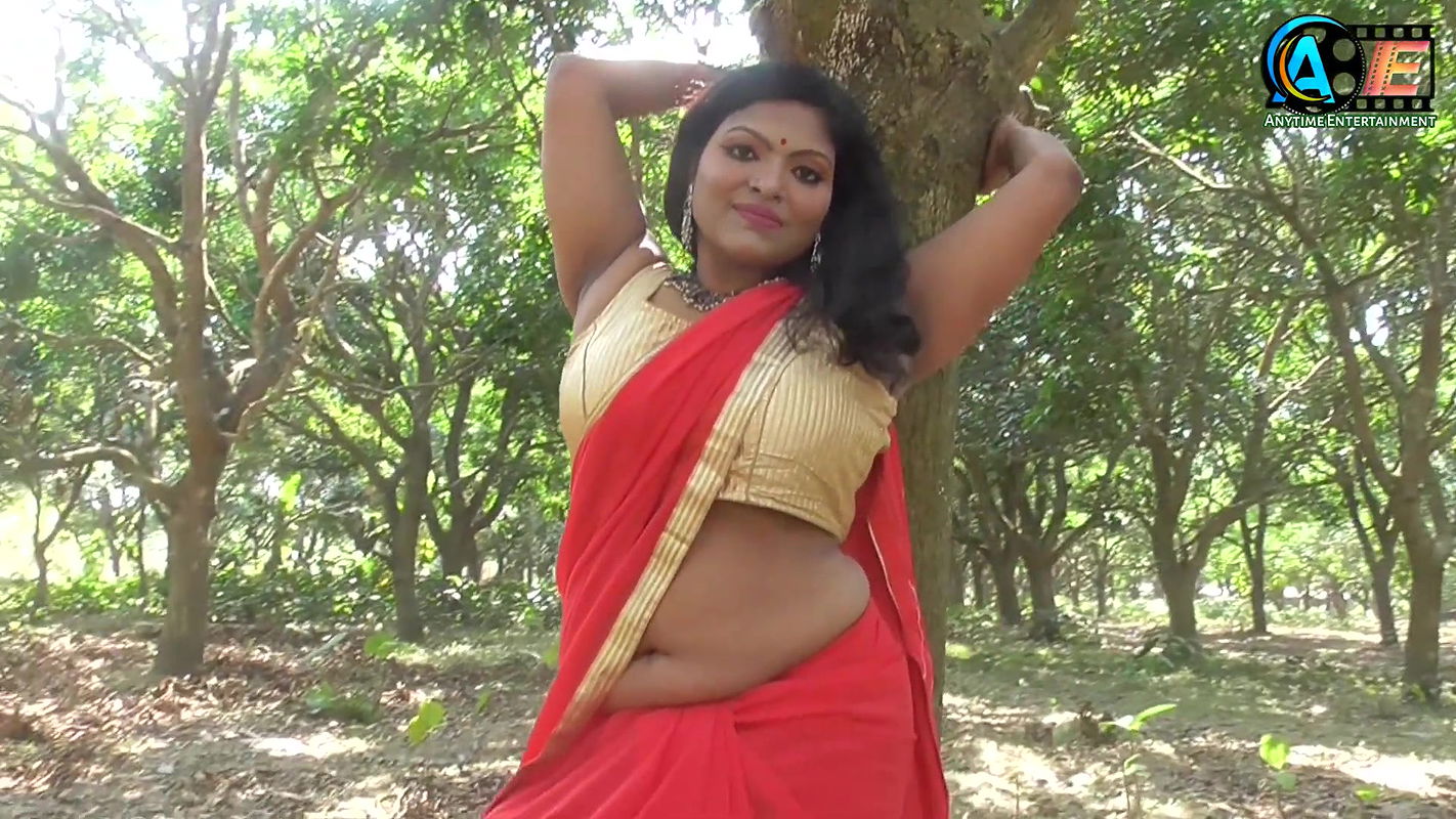 saree lover  saree photoshoot  saree fashion  saree r nari  saree te indian beauty  saree queen