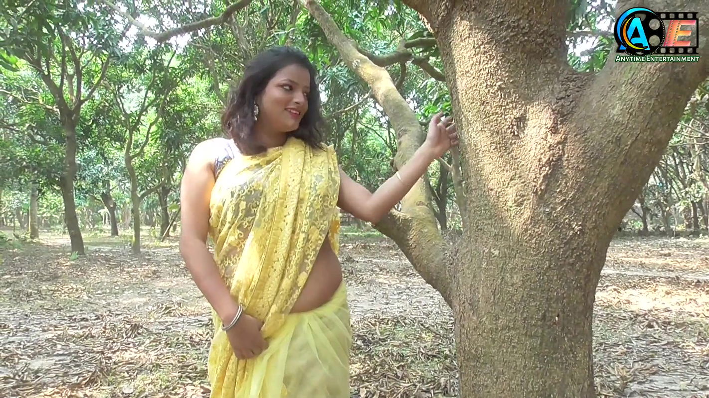 saree lover  saree photoshoot  saree fashion  indian beauty  Renu  high fashion  saree sundori