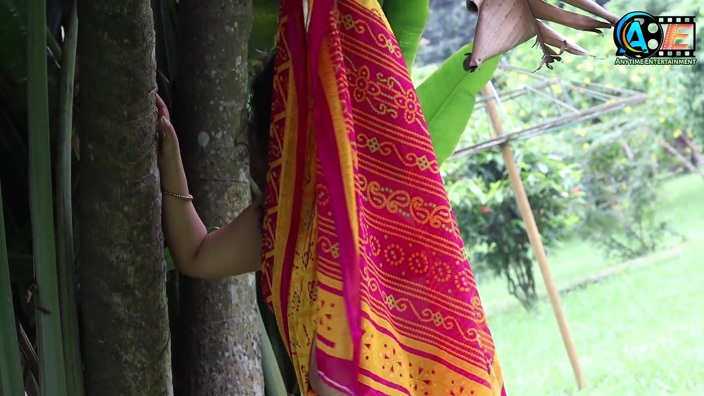 Saree Video Shoot  Saree Fashion Show  Saree Lover  Saree Sundori  Saree te Nari Sundari