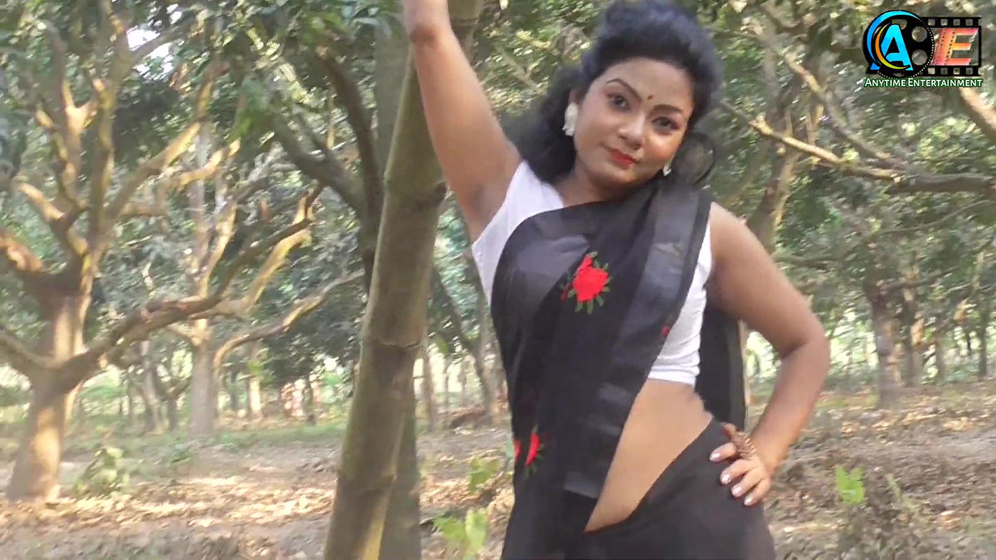 Saree Sundori  Saree Lover  Saree Fashion  Saree Shoot  Indian Beauty GARGI  Bold Saree Style