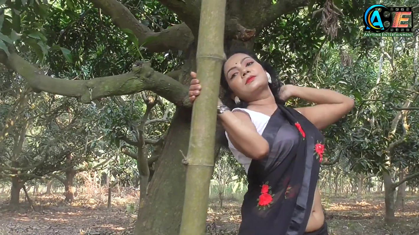 Saree Sundori  Saree Lover  Saree Fashion  Saree Shoot  Indian Beauty GARGI  Bold Saree Style