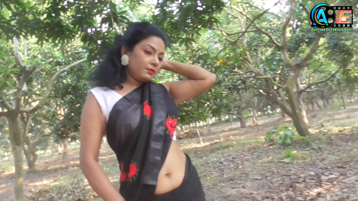 Saree Sundori  Saree Lover  Saree Fashion  Saree Shoot  Indian Beauty GARGI  Bold Saree Style