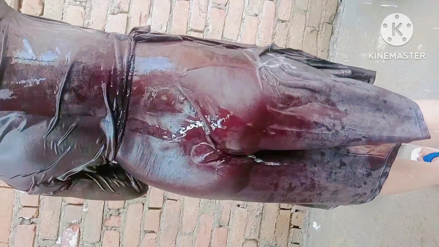 Seeing sister-in-law taking a bath, father-in-law killed sister-in-law’s gand full hot bathroom bhabhi bath