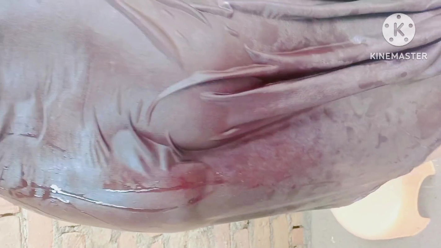 Seeing sister-in-law taking a bath, father-in-law killed sister-in-law’s gand full hot bathroom bhabhi bath