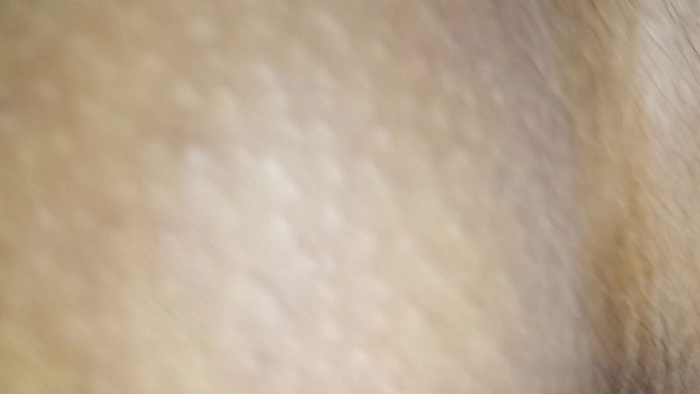 Desi bhabhi was fucked in doggy style by her hubby