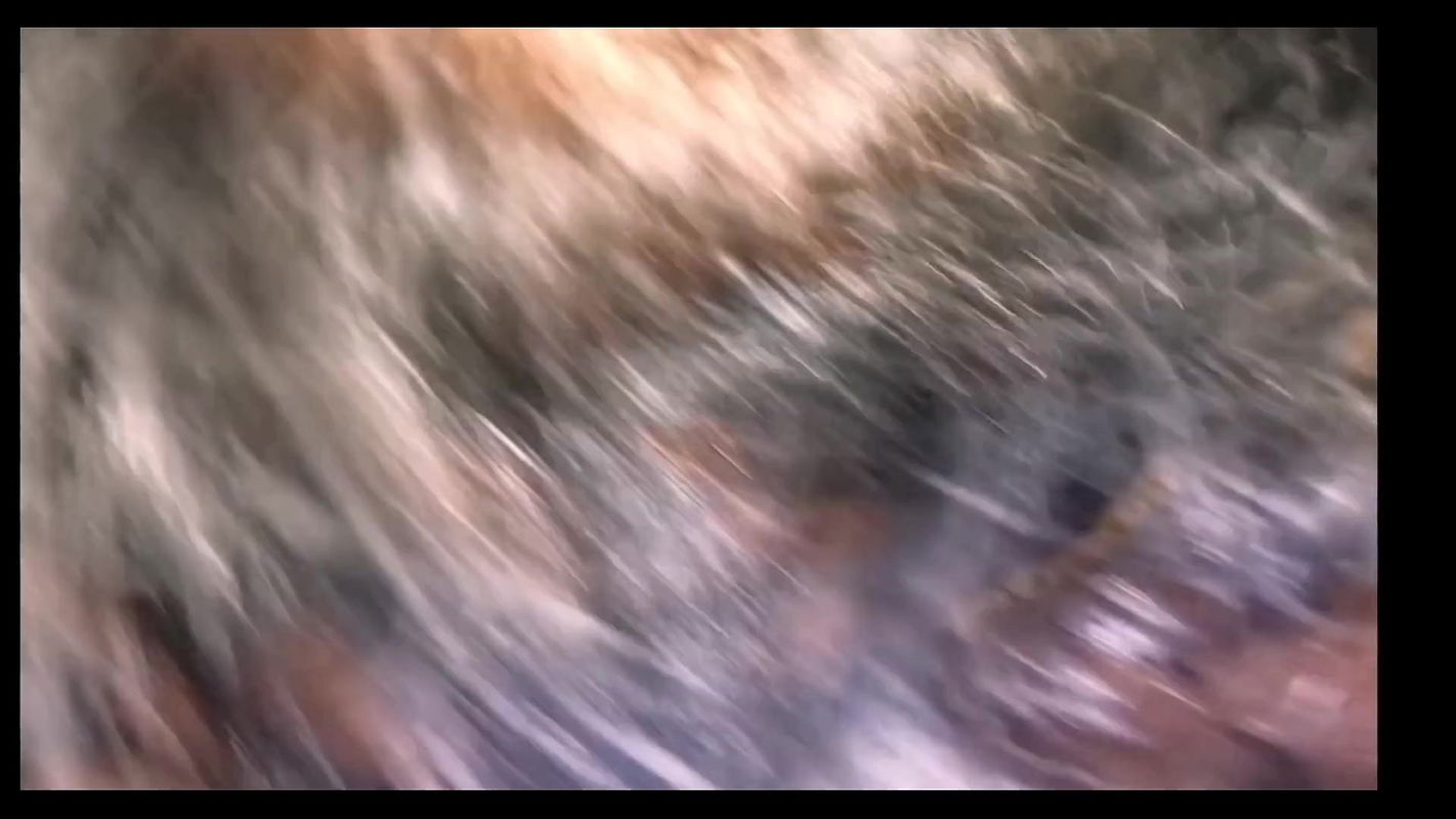 Indian Deepthrot queen 2