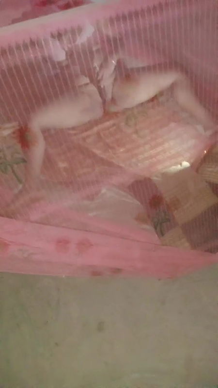 Assam guwahati poti mě pordes