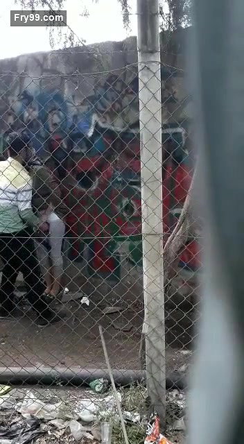 Outdoor fucking hijabi girl