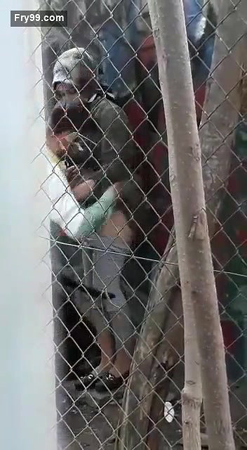 Outdoor fucking hijabi girl