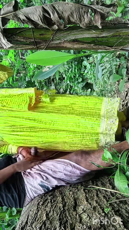 Bengali Boudi debar er sathe jungle e giye sex korlo