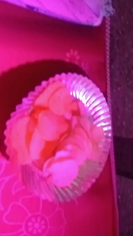 Indian Bhabhi One Night Stand