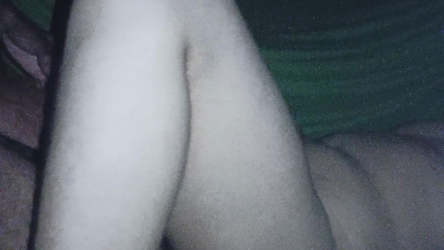 When my sister-in-law was taking a shower, you walked into the room and had sex