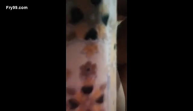 Mature couple fucking 12clips marge