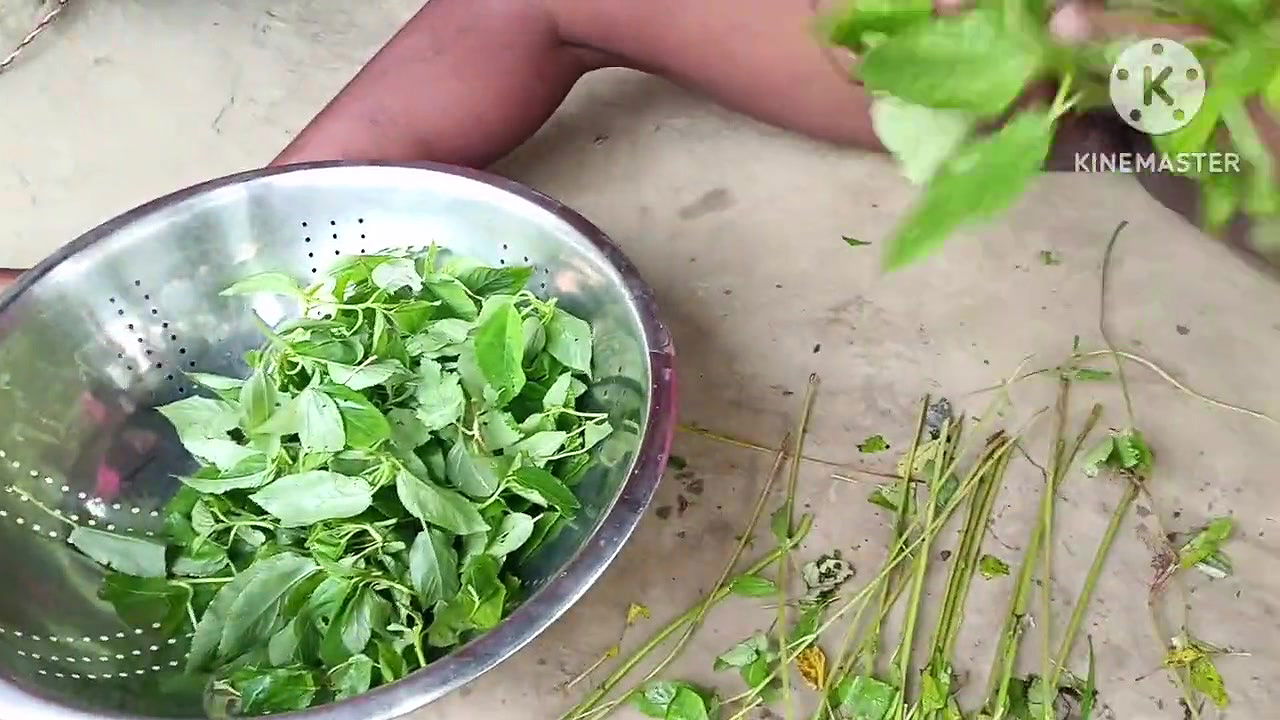 Desi housewife ne sabji banai