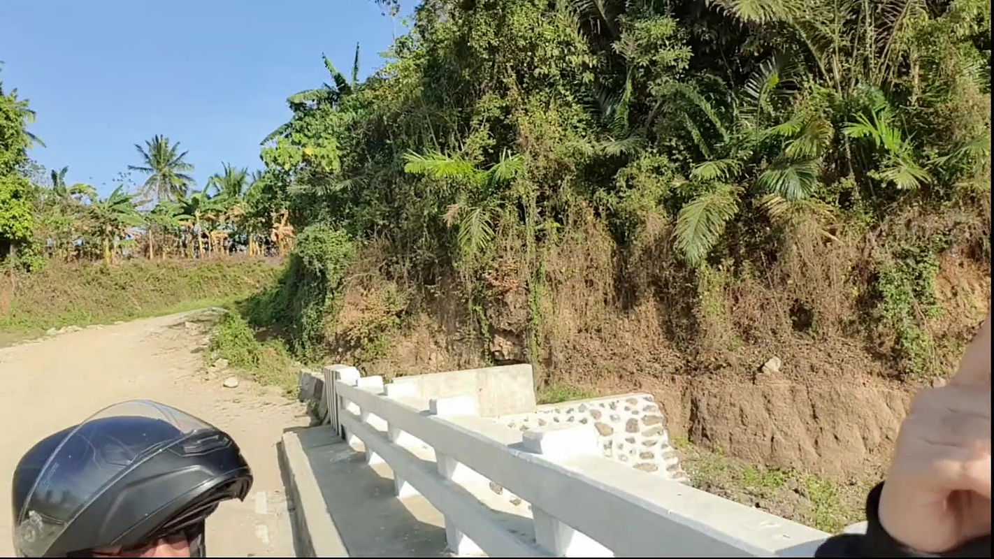 Forests fuck is the best